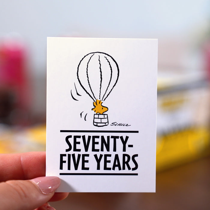 Peanuts Playpaks: 75 Years (4 Packs)