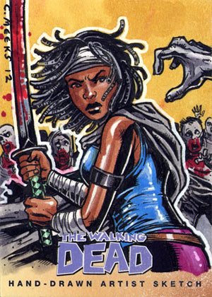 The Walking Dead Comic Trading Cards Set 2 Cryptozoic Entertainment The Walking Dead Comic Trading Cards Set 2 Cryptozoic Entertainment